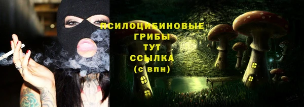 первитин Киреевск